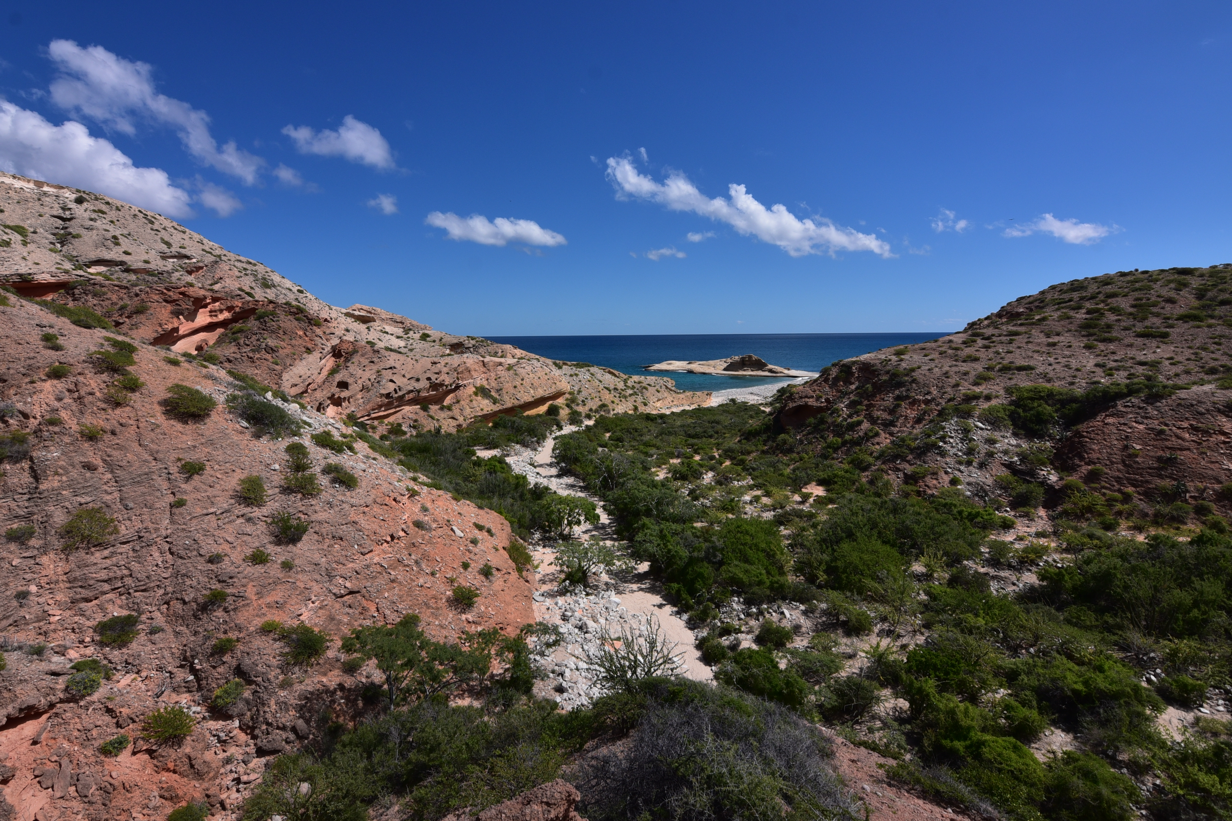 Canyon and coastline, Isla San José, Baja California